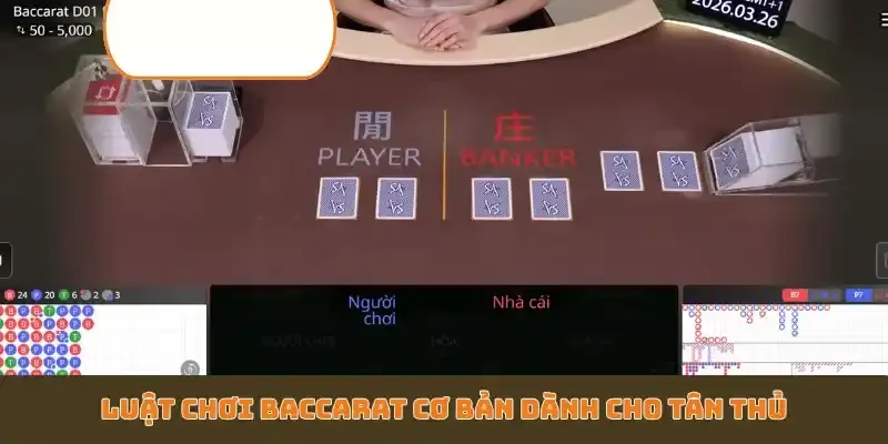 Luật chơi Baccarat cơ bản dành cho tân thủ