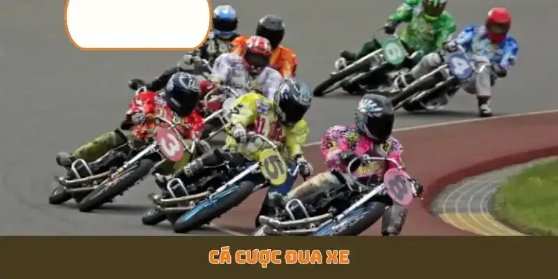Cá cược đua xe