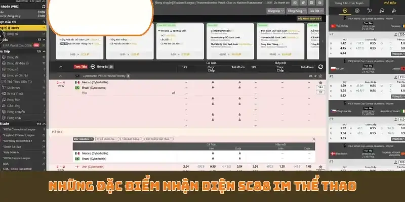 Những đặc điểm nhận diện SC88 IM Thể Thao
