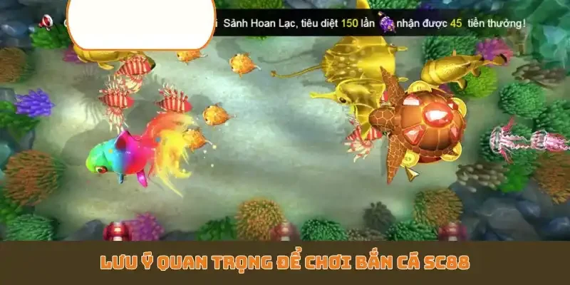 Lưu ý quan trọng để chơi bắn cá SC88