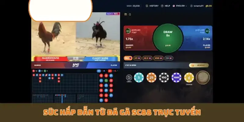 Sức hấp dẫn từ đá gà SC88 trực tuyến